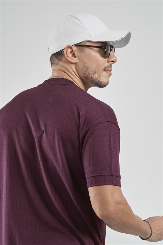 Image of Crew Neck Striped Regular Fit Men's T-Shirt