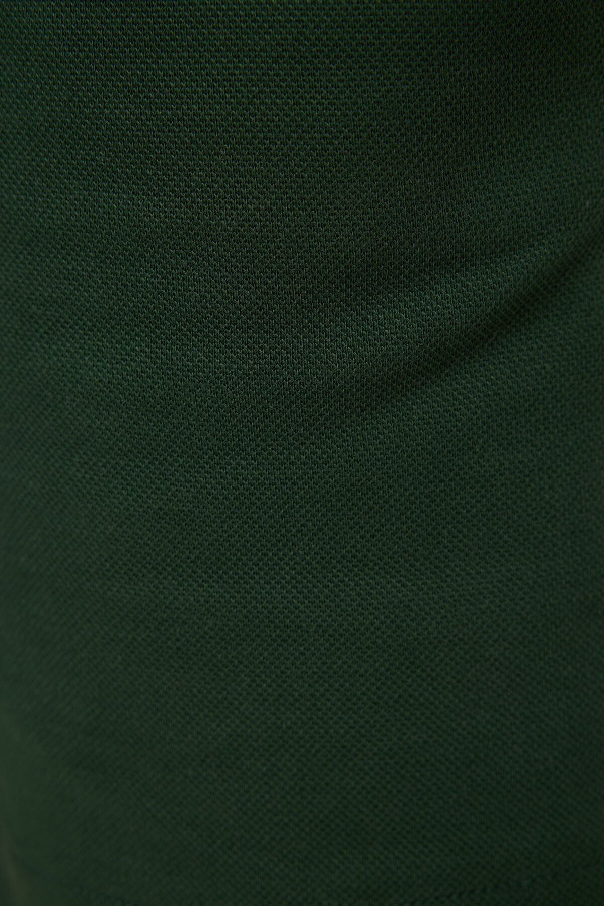 Image of Pantaloni scurți basici pentru băieți, din bumbac, texturat moale, verde pin, croială standard - 11293