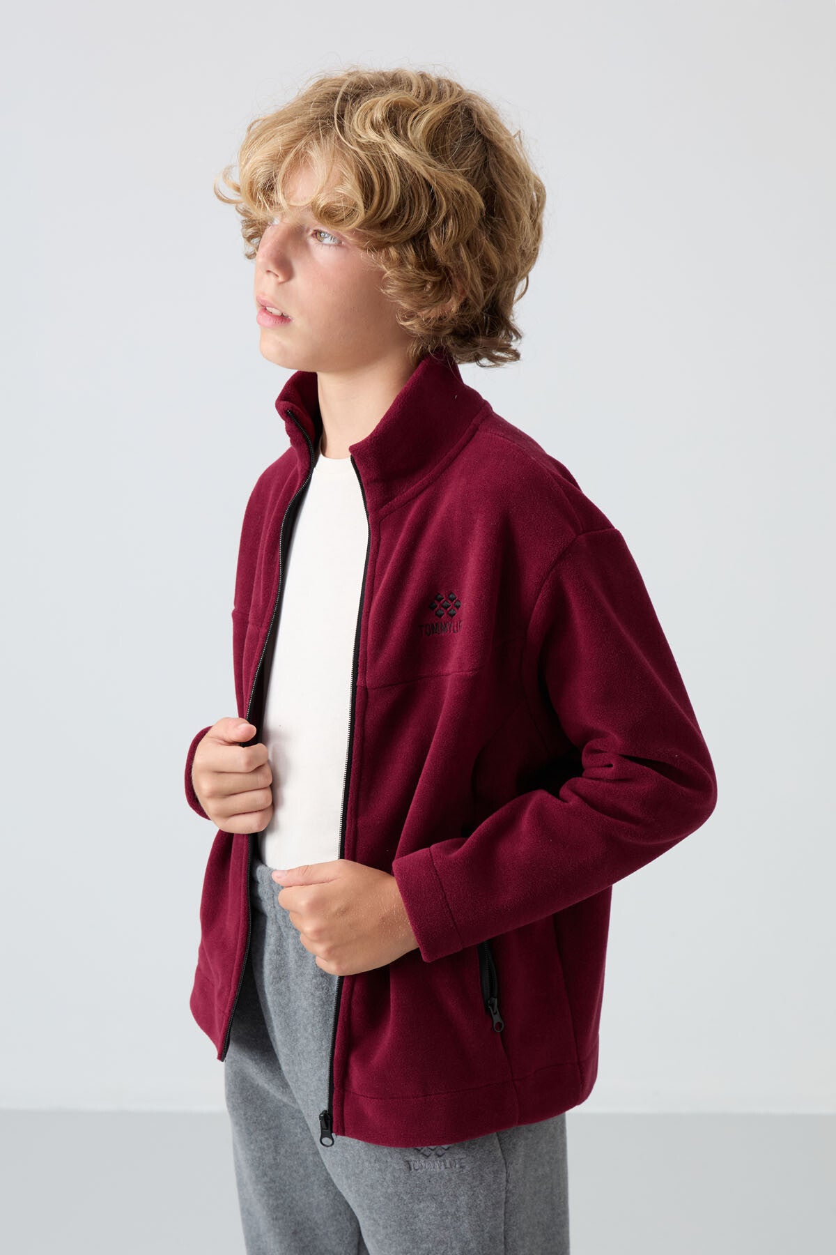 Image of Erguvan Kalın Yumuşak Dokulu Standart Fit Nakışlı Polar Erkek Çocuk Sweatshirt - 11223