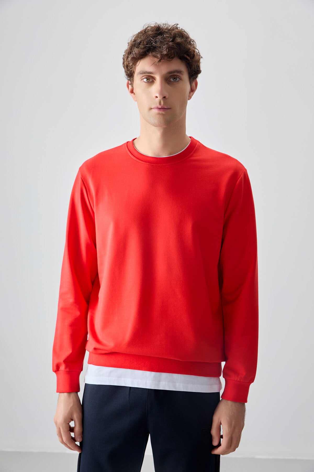 Image of Fiesta Pamuk Yumuşak Dokulu Standart Fit Basic Erkek Sweatshirt - 88363