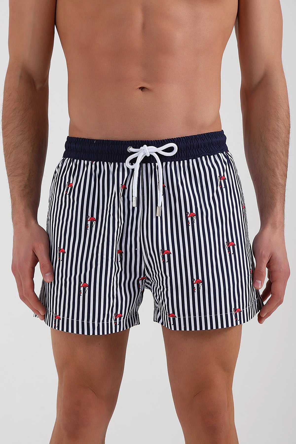 Image of Line Flamingo Men's Swim Shorts