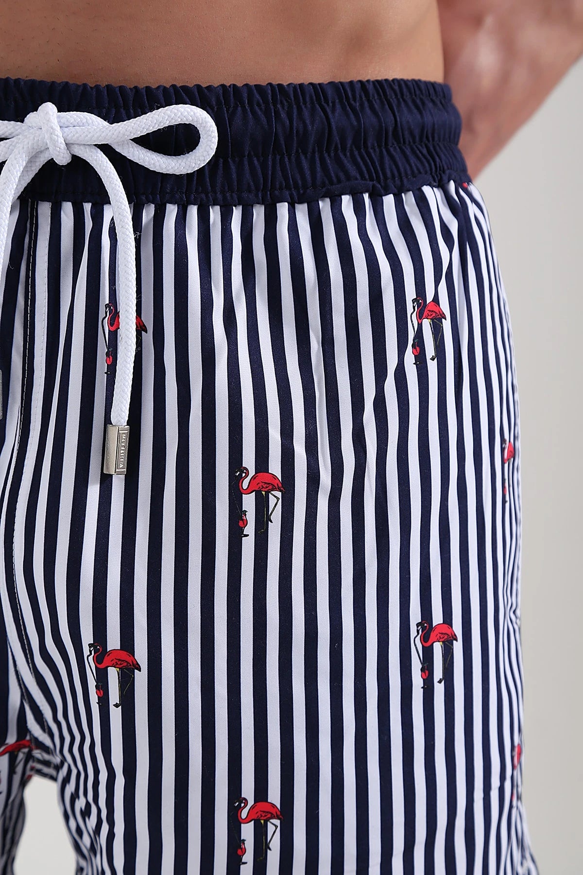 Image of Line Flamingo Men's Swim Shorts