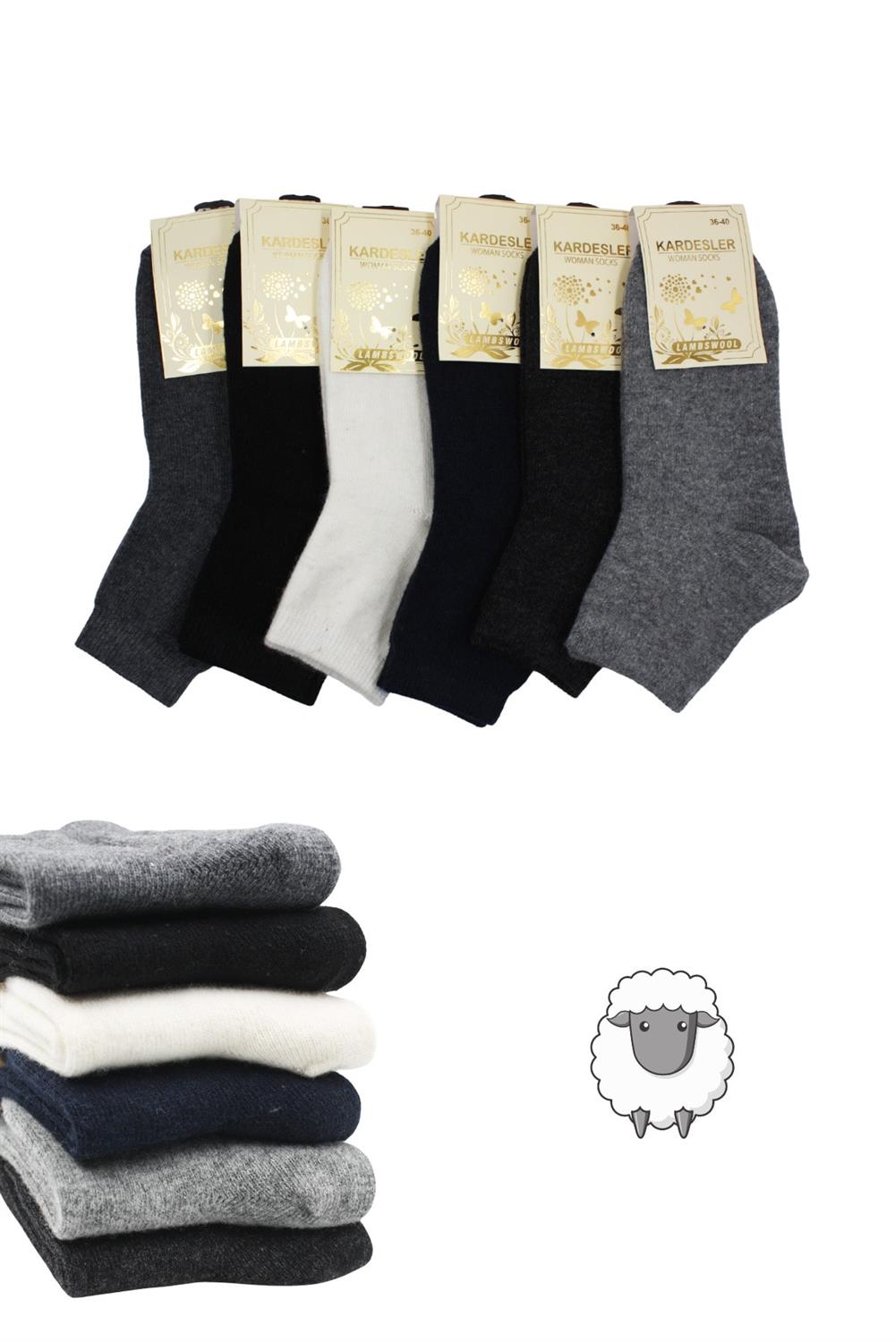 Image of Women's Lambswool Wool Winter Multicolored Ankle Socks, 6-Pack