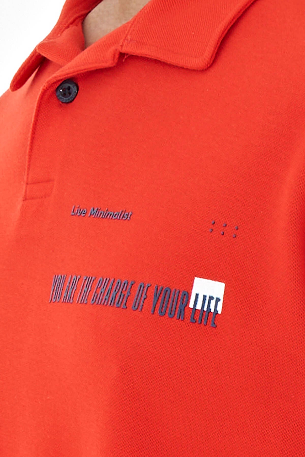 Image of Fiesta Yazı Baskılı Standart Form Polo Yaka Erkek T-shirt - 88236