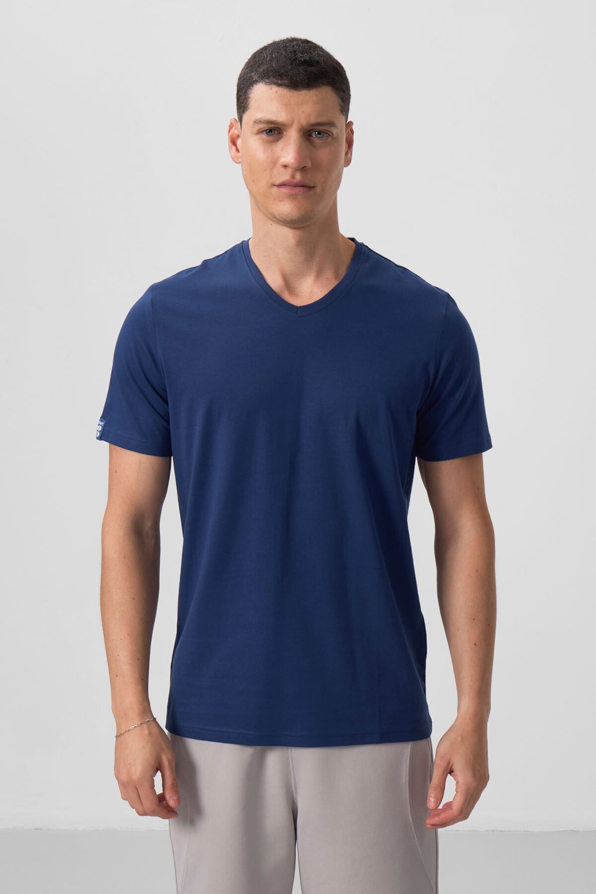Image of İndigo Basic Kısa Kol Standart Kalıp V Yaka Erkek T-Shirt - 87912