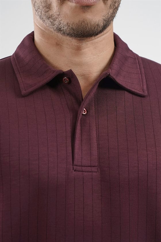 Image of Tricou bărbătesc cu guler polo și dungi, croială regulată