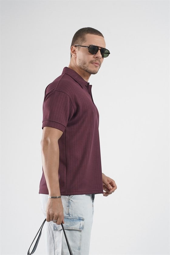 Image of Tricou bărbătesc cu guler polo și dungi, croială regulată