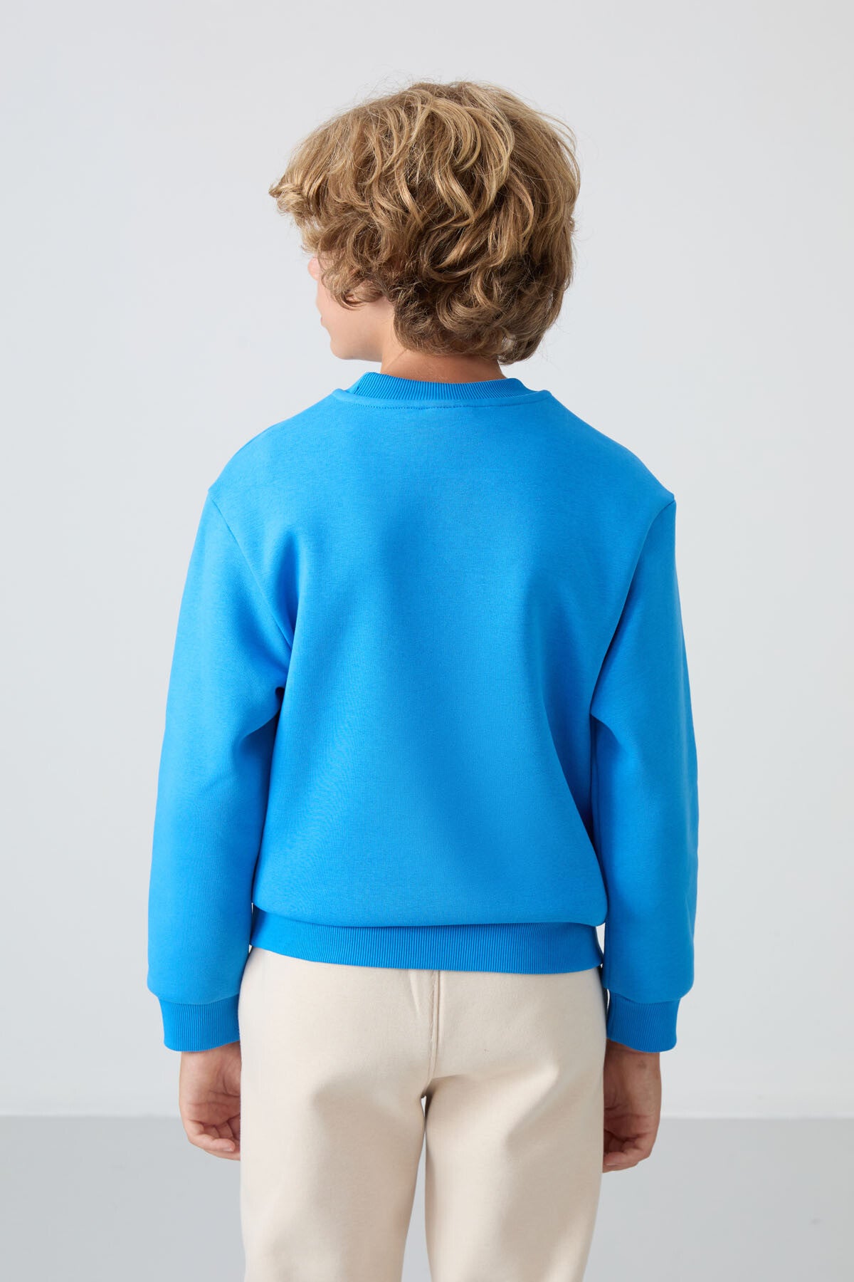 Image of Saks Pamuklu Kalın İçi Tüylü Yumuşak Dokulu Standart Fit Nakışlı Erkek Çocuk Sweatshirt - 11232