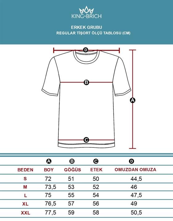 Image of Tricou bărbătesc cu decolteu în V, simplu, croială regulată